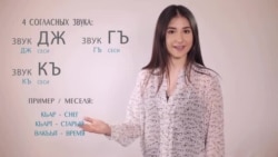 Видеоуроки «Elifbe». Крымскотатарская грамматика Видеоуроки «Elifbe». Крымскотатарская грамматика