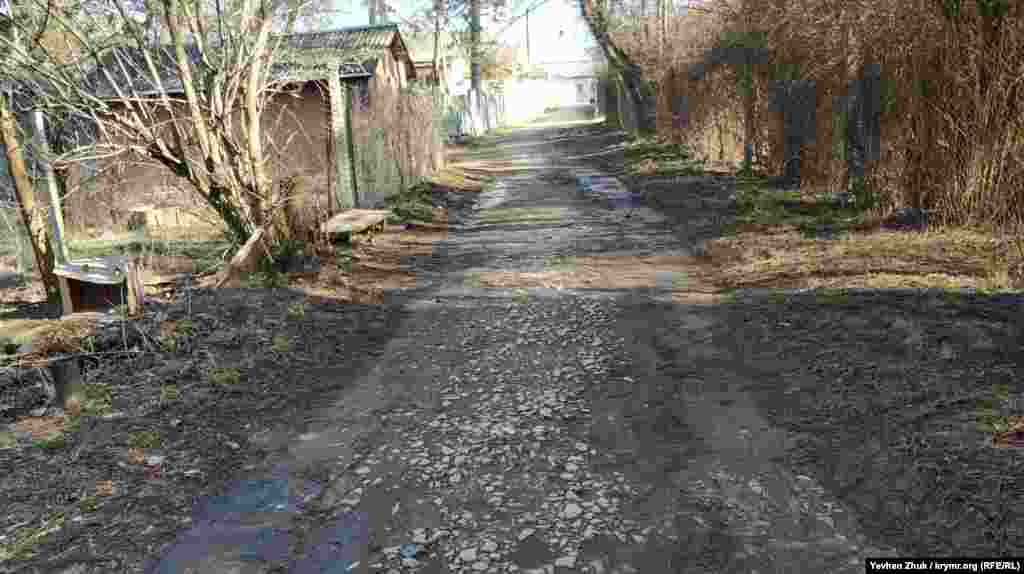 Коли Бороздін був звільнений зі служби в 1828 році, маєток Сабли за п'ятсот тисяч рублів купила графиня А.Г. Лаваль, від якої він перейшов у спадок до її дочці – Катерині Іванівні Трубецькій, дружині декабриста князя Сергія Петровича Трубецького. У Сибіру у Трубецьких народилася дочка Єлизавета, яка потім вийшла заміж за сина декабриста Василя Львовича Давидова і отримала Сабли в придане. На фото: стара, мощена каменем дорога вздовж садиби