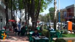 Зиёд шудани паррандагони хушхон дар ошхонаҳои Хуҷанд Зиёд шудани паррандагони хушхон дар ошхонаҳои Хуҷанд