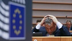 ИА аз иқдоми Орбан интиқод кард ИА аз иқдоми Орбан интиқод кард