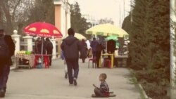 Дардисарҳои "паймони шифоҳӣ" дар ҷомеаи Тоҷикистон Дардисарҳои "паймони шифоҳӣ" дар ҷомеаи Тоҷикистон