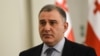 მიხეილ სარჯველაძე, პარლამენტის ადამიანის უფლებათა დაცვის კომიტეტის თავმჯდომარე