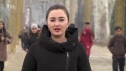 Қимати билетҳо муҳоҷирони кории тоҷикро метарсонад Қимати билетҳо муҳоҷирони кории тоҷикро метарсонад