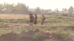"90 дарсади Саразми бостонӣ ҳанӯз зери хок аст" "90 дарсади Саразми бостонӣ ҳанӯз зери хок аст"