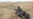 IS Militants In Kunduz