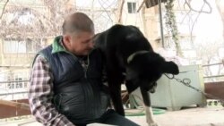 Ҷоиза барои маълумот дар бораи саги Раҳматулло Зоиров Ҷоиза барои маълумот дар бораи саги Раҳматулло Зоиров