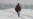 At Least 16 Kids Die In Afghan Cold