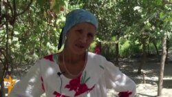 Се сокини Ҳамадонӣ дар ҷангҳои Ироқу Сурия кушта шудаанд Се сокини Ҳамадонӣ дар ҷангҳои Ироқу Сурия кушта шудаанд