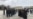 Владельцы торговых точек на сгоревшем рынке вышли к администрации Махачкалы. Они уверены, что рынок подожгли, чтобы его перенести