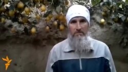 Имсол соли лиму будааст Имсол соли лиму будааст