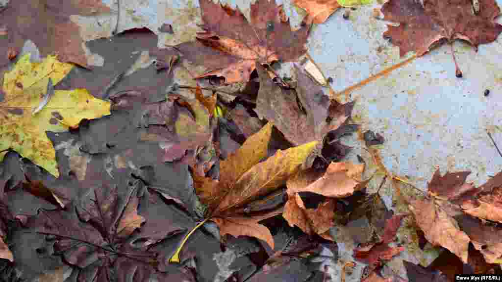 Кольори осені 