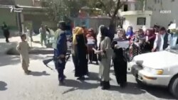 Нақли зане, ки дар эътирози зидди Толибон иштирок кардааст Нақли зане, ки дар эътирози зидди Толибон иштирок кардааст