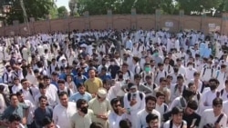 د مردان بورډ پرضد د زده کوونکو احتجاجي مظاهره د مردان بورډ پرضد د زده کوونکو احتجاجي مظاهره