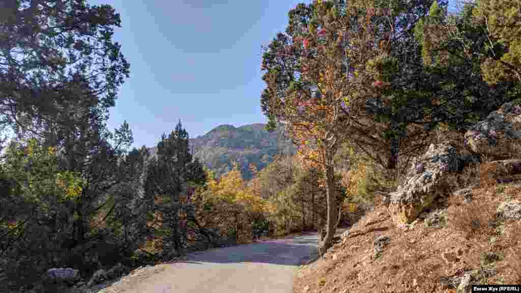 Від траси Севастополь – Ялта до моря біля селища Голуба Затока веде вузький серпантин