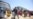 The Hidden Dangers Of The Fight Against Islamic State