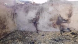 Ҳалокати се кӯдак дар каҳдони як сокини Восеъ Ҳалокати се кӯдак дар каҳдони як сокини Восеъ