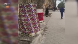 Ба дарахтони қадди роҳ дар Бохтар чакану атлас "пӯшондаанд" Ба дарахтони қадди роҳ дар Бохтар чакану атлас "пӯшондаанд"