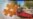 Hashtag_thumbnail