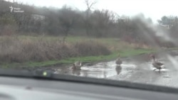 Збиття, маневри полювання та бої в небі. Залаштунки роботи дронарів і кадри з БПЛА (відео) Збиття, маневри полювання та бої в небі. Залаштунки роботи дронарів і кадри з БПЛА (відео)