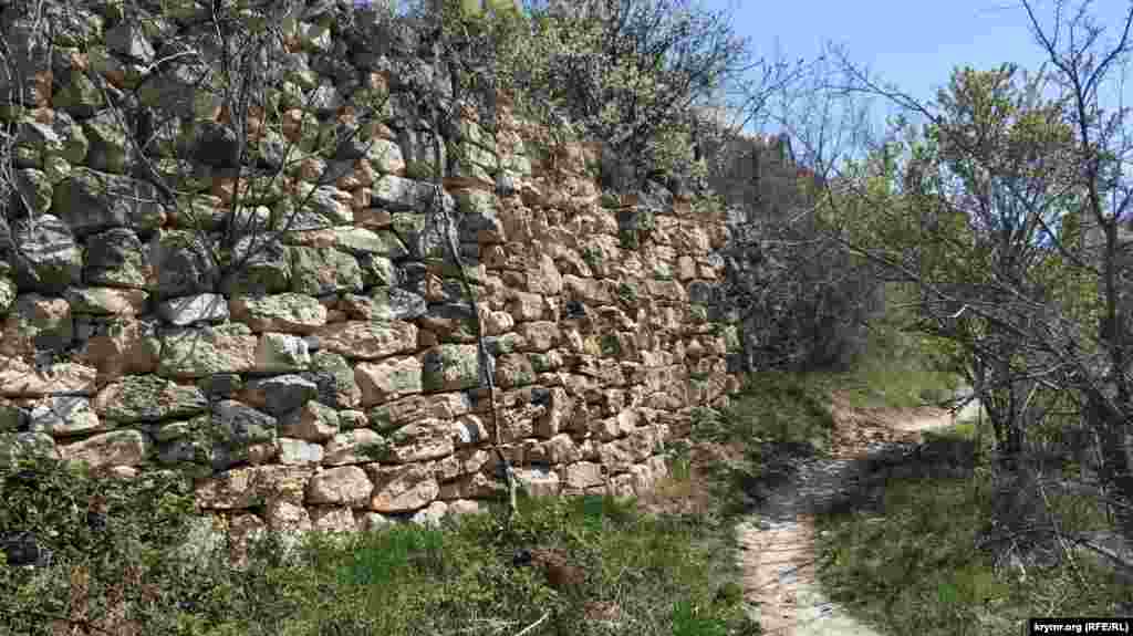 Тут підпірна стіна, викладена з «дикого» каменю всуху, зарості ожини та інших чагарників