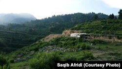 د خیبر پښتونخوا د قبایلي ضلعې خیبر تیراه کې د سیلګرۍ سیمه، انځور له ارشیفه