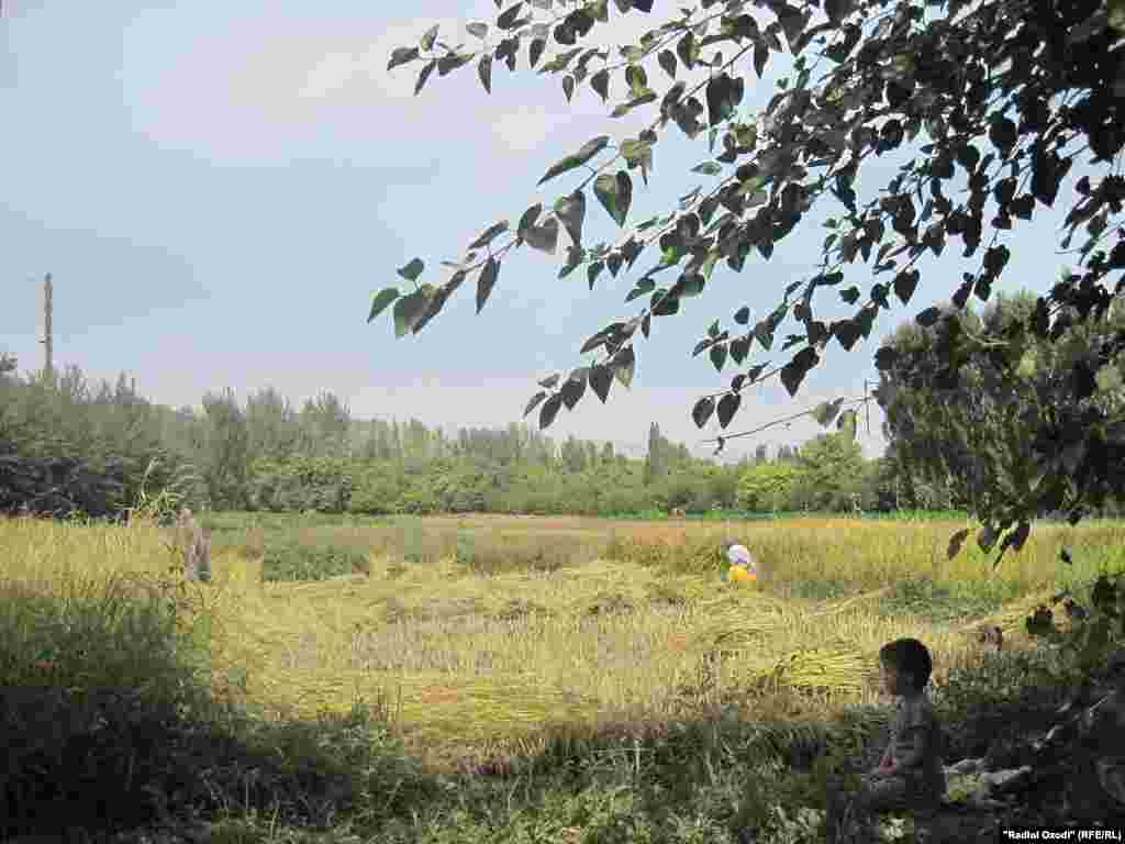 Намое аз Чорқишлоқ