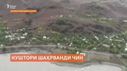 Кушта шудани як шаҳрванди Чин дар марзи Тоҷикистону Афғонистон Кушта шудани як шаҳрванди Чин дар марзи Тоҷикистону Афғонистон