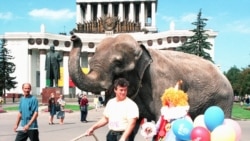 Далеко от Москвы. Россия, родина слонов Далеко от Москвы. Россия, родина слонов