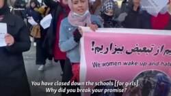 Kabul Women Protesters Brave Taliban Shooting Kabul Women Protesters Brave Taliban Shooting