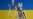 Украинский суд арестовал дагестанца по запросу российских спецслужб