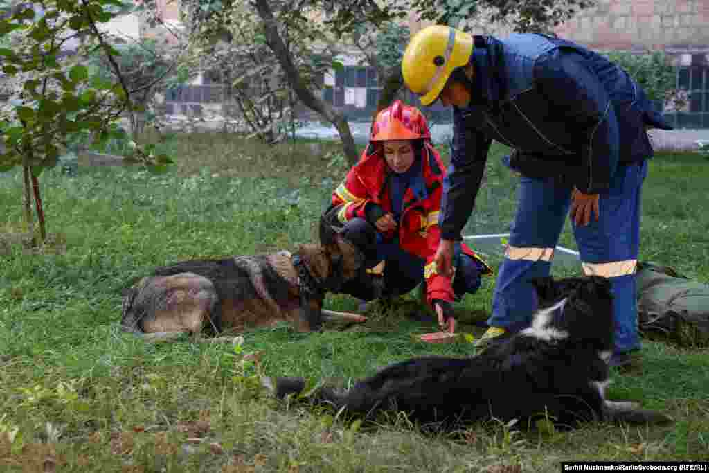 Echipele de salvare mângâie animalele de companie ale căror stăpâni sunt dispăruți.
