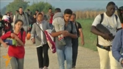 With Hungary Closed, Refugees Head To Croatia With Hungary Closed, Refugees Head To Croatia