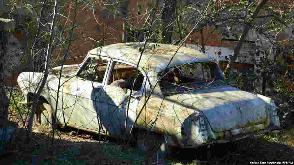 Серед дерев вростає колесами в землю «чудо» радянського автопрому – ГАЗ-21 «Волга»