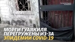 В Гуаякиле тела лежат на улицах В Гуаякиле тела лежат на улицах