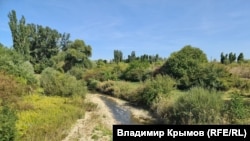 Обмелевшая река Биюк-Карасу в Белогорске. Сентябрь 2025 года