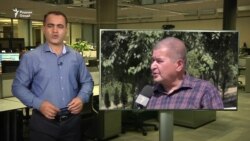 Озодӣ Онлайн: "Раҳматилло Зойировро заданд, ё сагаш афтонд?" Озодӣ Онлайн: "Раҳматилло Зойировро заданд, ё сагаш афтонд?"