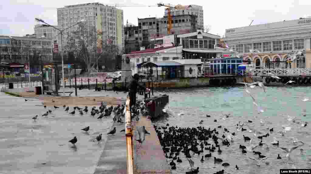 Артбухта, чоловік годує чайок, голубів і качок  