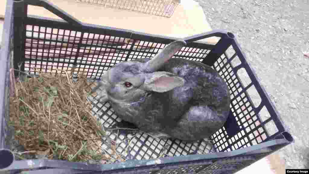 "Ну и долго мне тут сидеть?"