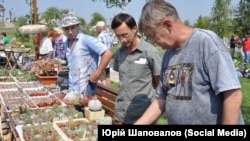 Юрий Шаповалов на выставке кактусов в Донецке в 2013 году