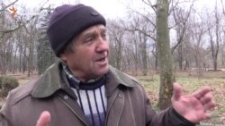 Сімферопольці про роботу кримського уряду: дуже погано, так не можна! (відео) Сімферопольці про роботу кримського уряду: дуже погано, так не можна! (відео)