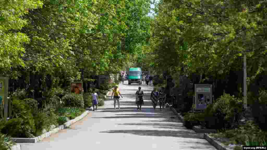 В одной из аллей парка «Тайган»