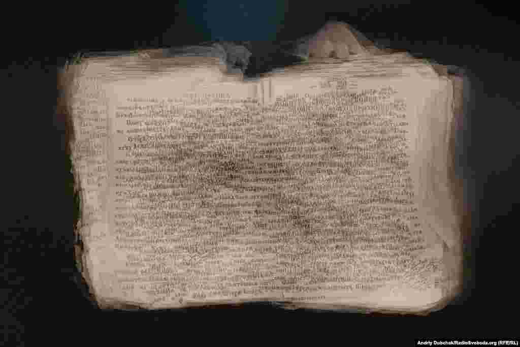 Леся Марущак, авторка виставки «Марія», народилася в Канаді, в селі Алвена. Вона росла серед української громади Канади, де дізналася про Голодомор із розповідей українців, які пережили геноцид