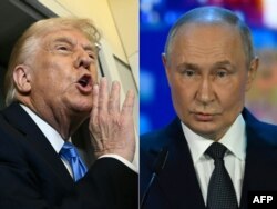 Дональд Трамп и Владимир Путин