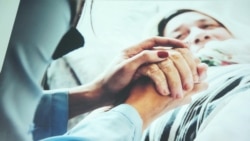 ALEXANDROVA ALEXANDROVA