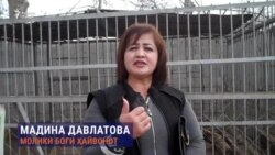 Шароити душвори ҷонварони Боғи ҳайвонот дар Хуҷанд Шароити душвори ҷонварони Боғи ҳайвонот дар Хуҷанд