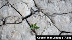 Симферопольское водохранилище