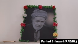 امير حمزه خان شينواری په ۱۹۰۷ز کال کې د خیبر ضلعې په لنډي کوتل کې زېږېدلی وو او د ۱۹۹۴ز کال د فبرورۍ پر ۱۸مه وفات شو. انځور له ارشيفه