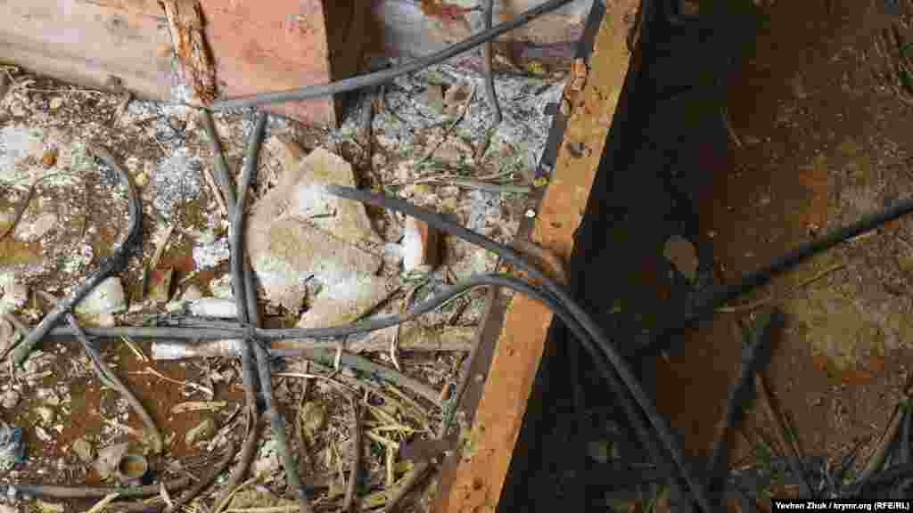 Вважається, що це найдорожчий недобудований ядерний реактор у світі – на будівництво АЕС було витрачено 500 млн радянських рублів у цінах 1984 року. На складах залишалися матеріали орієнтовно ще на 250 млн рублів