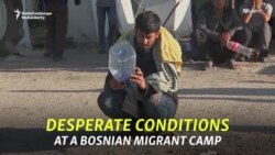'This Camp Is For Animals': Calls To Relocate Migrants In Bosnia As Winter Looms 'This Camp Is For Animals': Calls To Relocate Migrants In Bosnia As Winter Looms