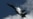 U.S. Navy Complains Of Second 'Unsafe' Russian Jet Interception In Four Days